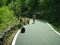 Colle delle Finestre 2005 2 15