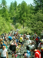 Colle delle Finestre 2005 2 20