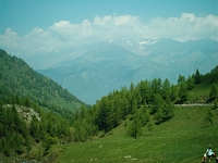 Colle delle Finestre 2005 2 24