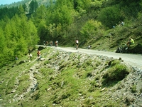 Colle delle Finestre 2005 2 28