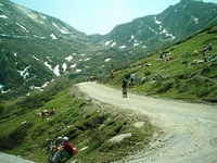 Colle delle Finestre 2005 2 36