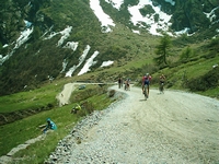 Colle delle Finestre 2005 2 37