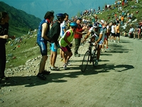 Colle delle Finestre 2005 2 75