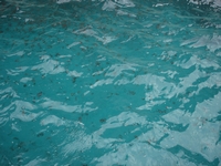 Francia 2006 63