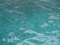 Francia 2006 64