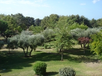 Francia 2006 74