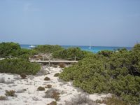 Ibiza e Formentera 2007 113