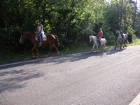 Massello Estate 2009 22