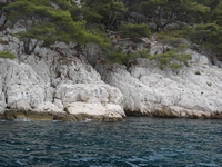 francia 2006 50